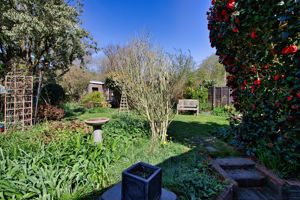 Photo 4- click for photo gallery